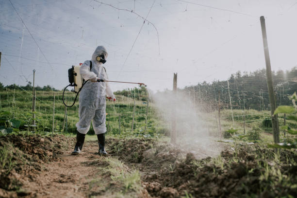 Best Pest Removal Services  in Allison Rk, PA