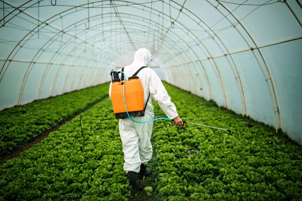 Best Best Pest Control Companies  in Allison Rk, PA