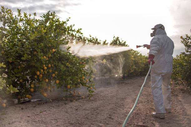 Allison Park, PA Pest Control Company