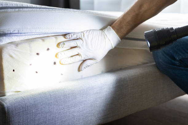 Best Affordable Pest Control Services  in Allison Rk, PA