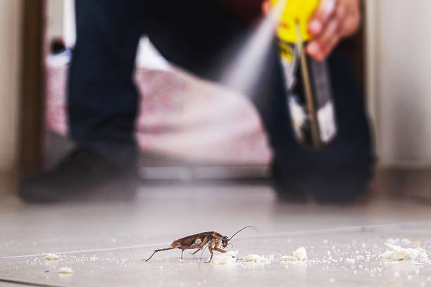 Best Affordable Pest Control Services  in Allison Rk, PA
